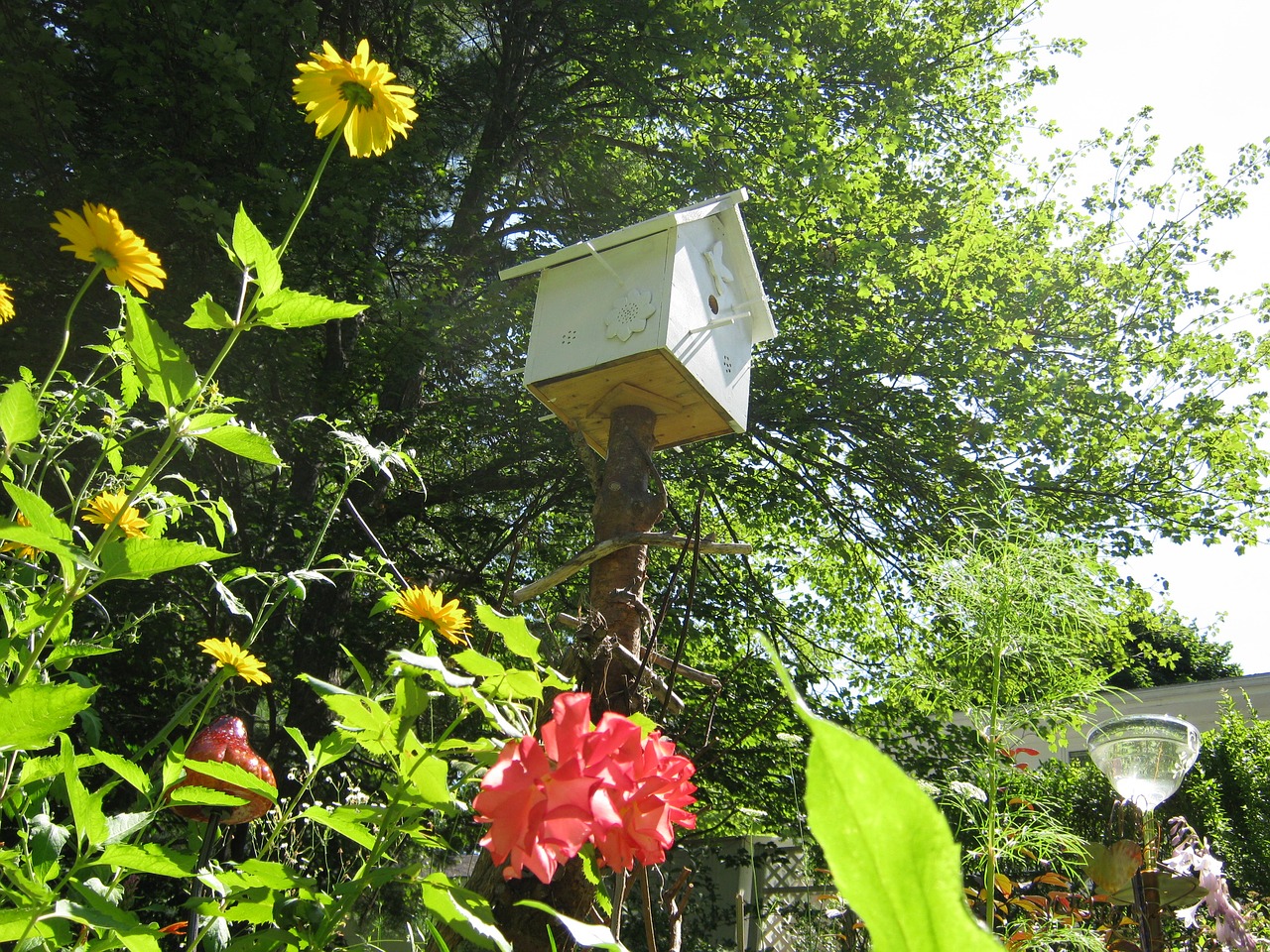 Birdhouse, Sodas, Gamta, Paukštis, Namas, Dizainas, Apdaila, Mediena, Lauke, Tiektuvas