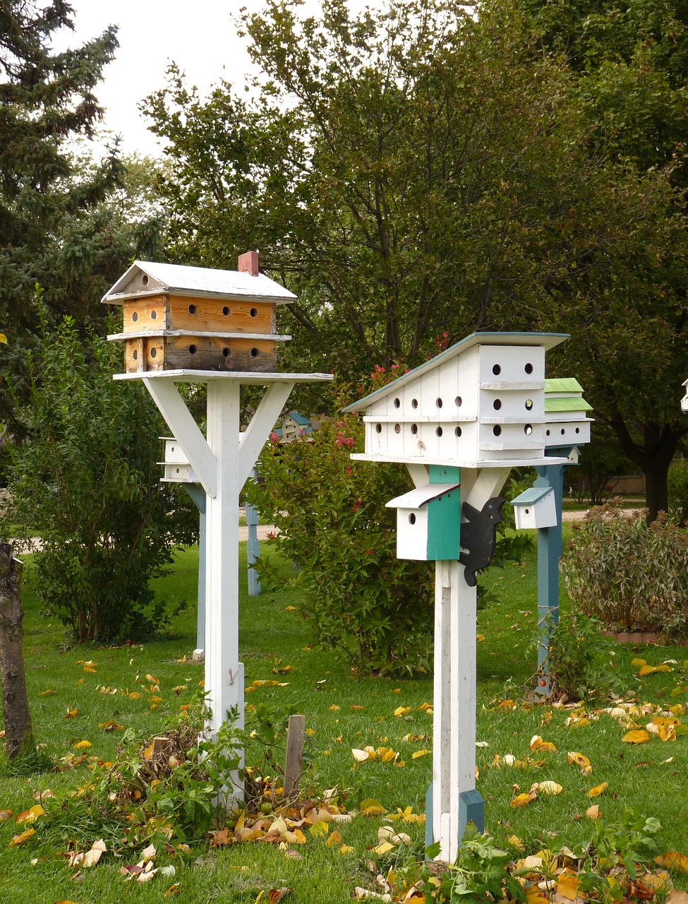 Birdhouse, Paukštis, Laukinė Gamta, Namas, Gamta, Nemokamos Nuotraukos,  Nemokama Licenzija