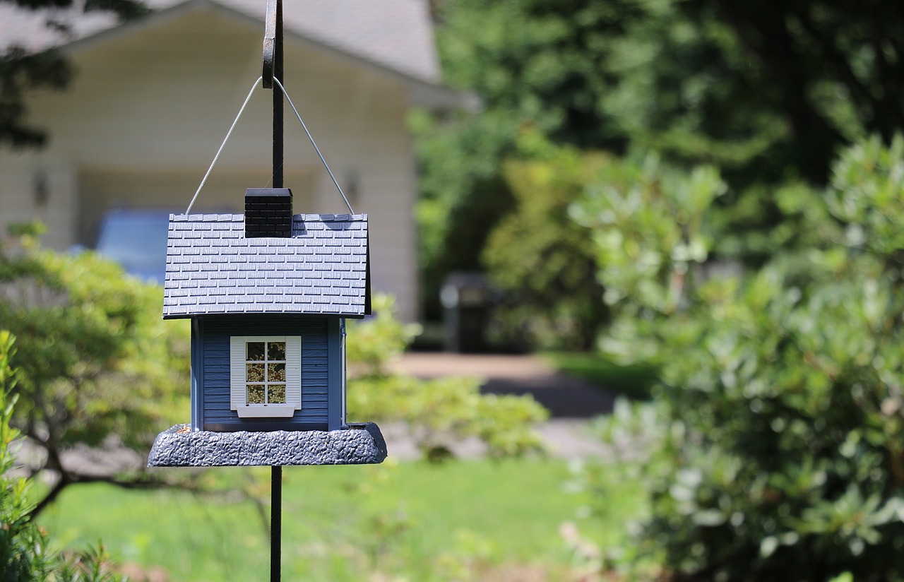 Birdhouse, Paukščių Namai, Mažas, Kiemas, Nemokamos Nuotraukos,  Nemokama Licenzija