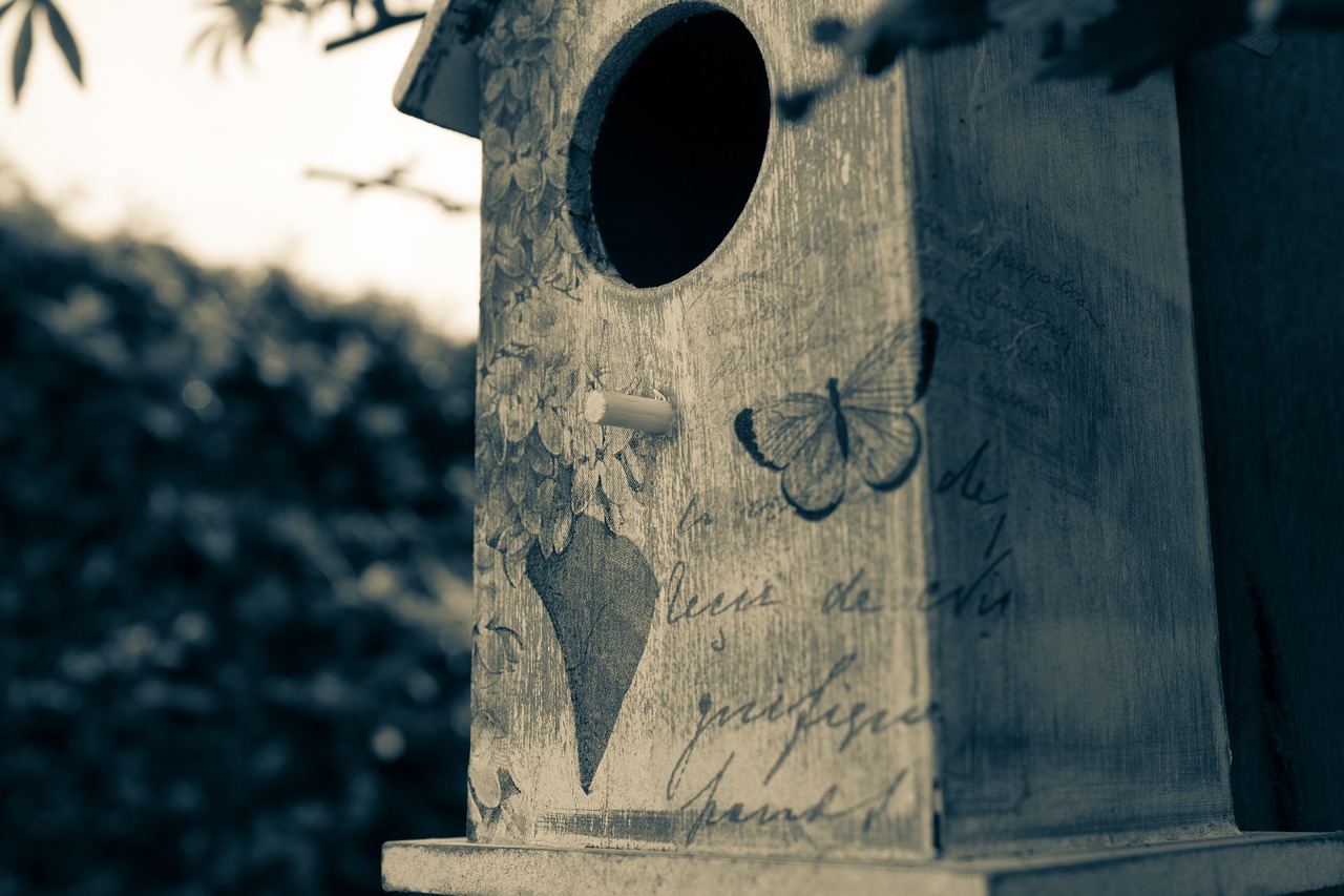 Birdhouse, Paukščio Lizdą, Split Tone, Mediena, Namas, Paukštis, Paukščių Dėžė, Medinė Birdhouse, Dekoratyvinis, Jaukus