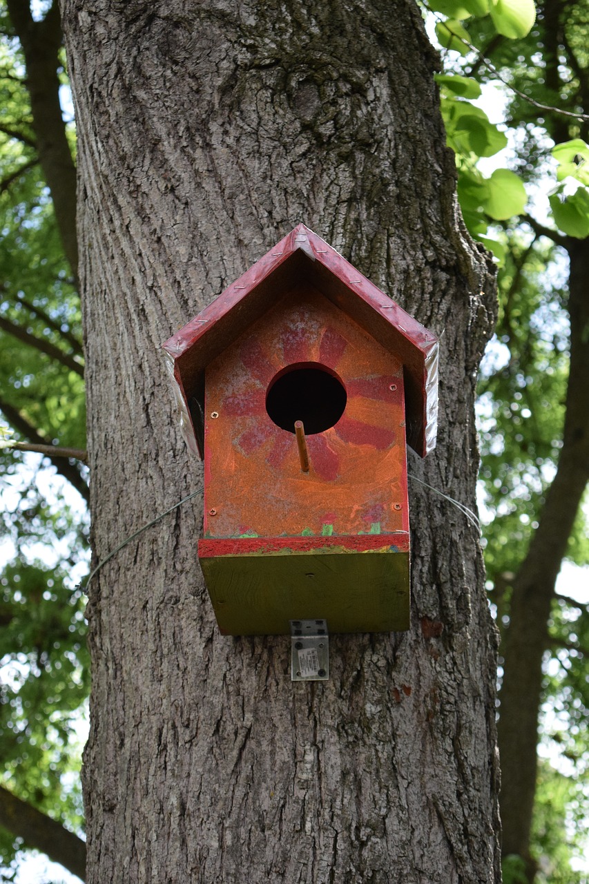 Birdhouse, Paukštis, Namai, Nemokamos Nuotraukos,  Nemokama Licenzija