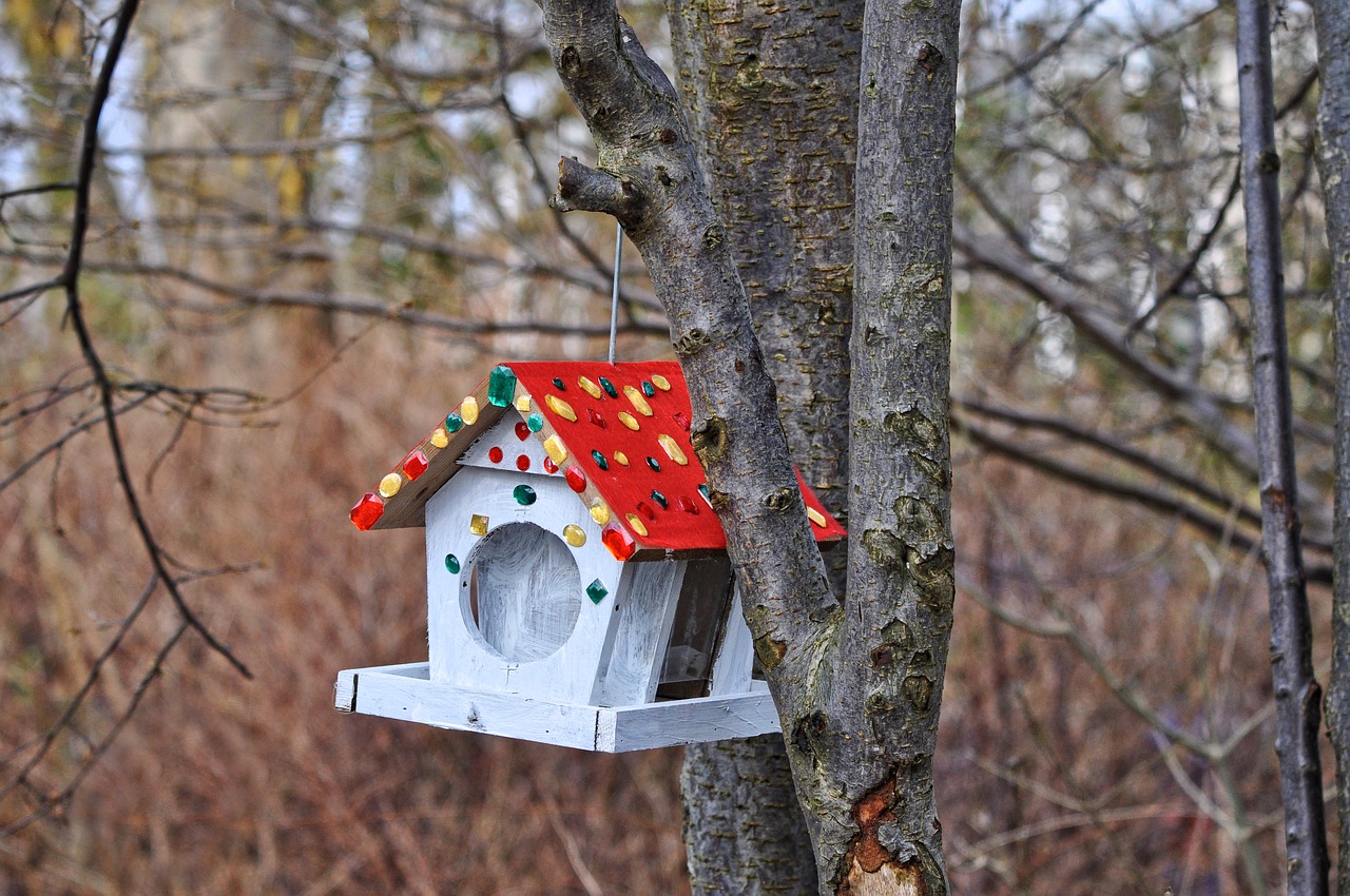 Birdhouse, Lizdas, Lizdą, Paukštis, Pavasaris, Kiaušinis, Kėlimas, Jaunas, Paukštynas, Rankų Darbo