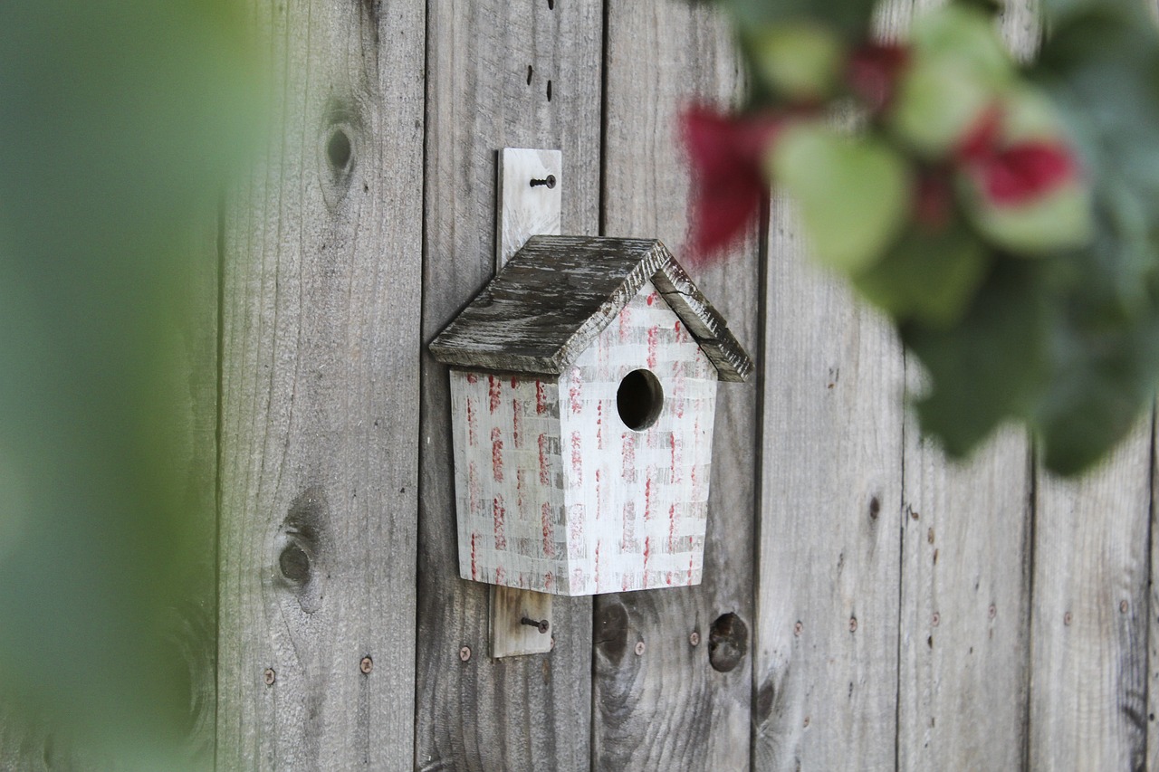 Birdhouse,  Mediena,  Medinis,  Namas,  Durys,  Lauke,  Kaimiškas,  Gamta,  Be Honoraro Mokesčio, Nemokamos Nuotraukos