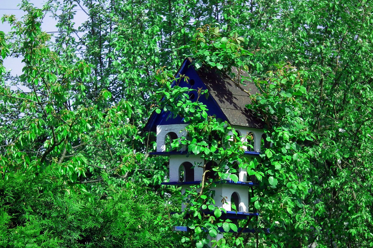 Birdhouse,  Spalvos,  Pobūdį,  Lapų,  Medis,  Pavasaris, Nemokamos Nuotraukos,  Nemokama Licenzija