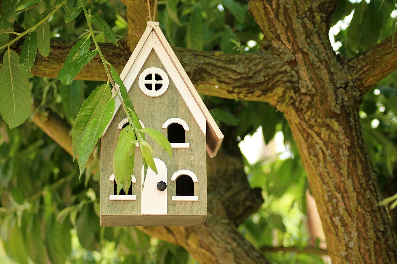 Birdhouse,  Veisimo Paukštidę,  Paukščiams,  Mesti,  Medinis,  Pavasaris,  Ornamentu,  Gamta, Nemokamos Nuotraukos,  Nemokama Licenzija