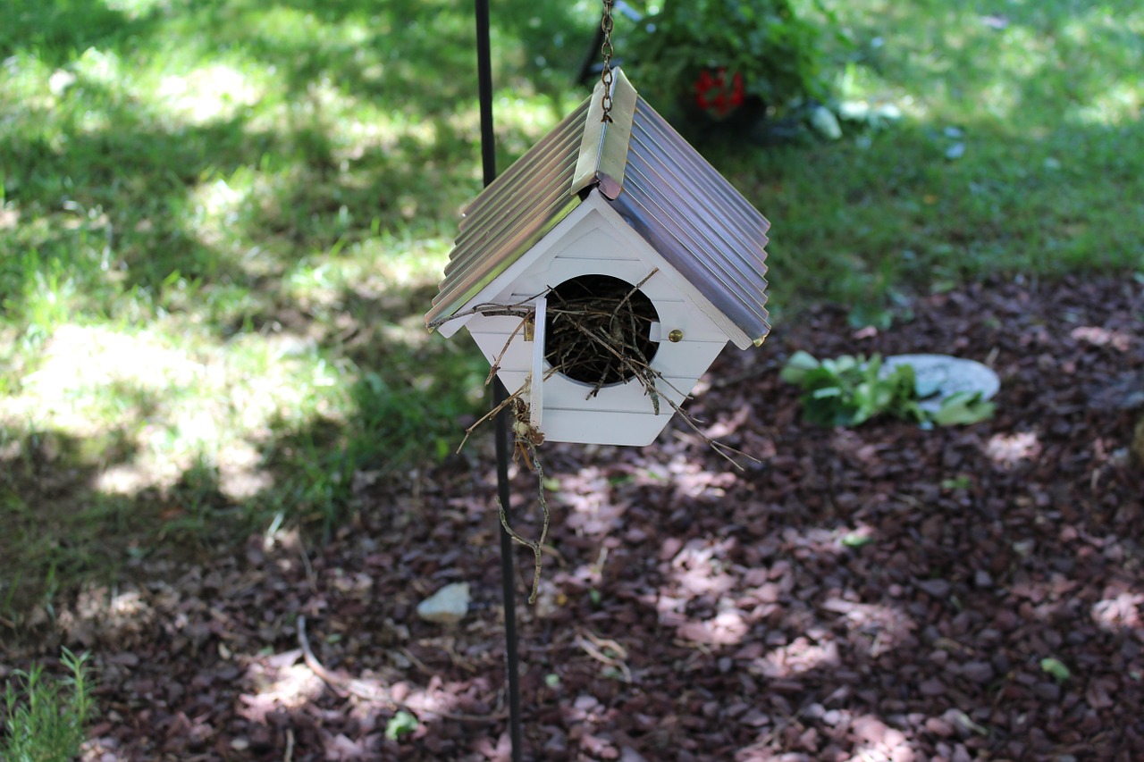 Birdhouse,  Sodas,  Paukščių Namas, Nemokamos Nuotraukos,  Nemokama Licenzija