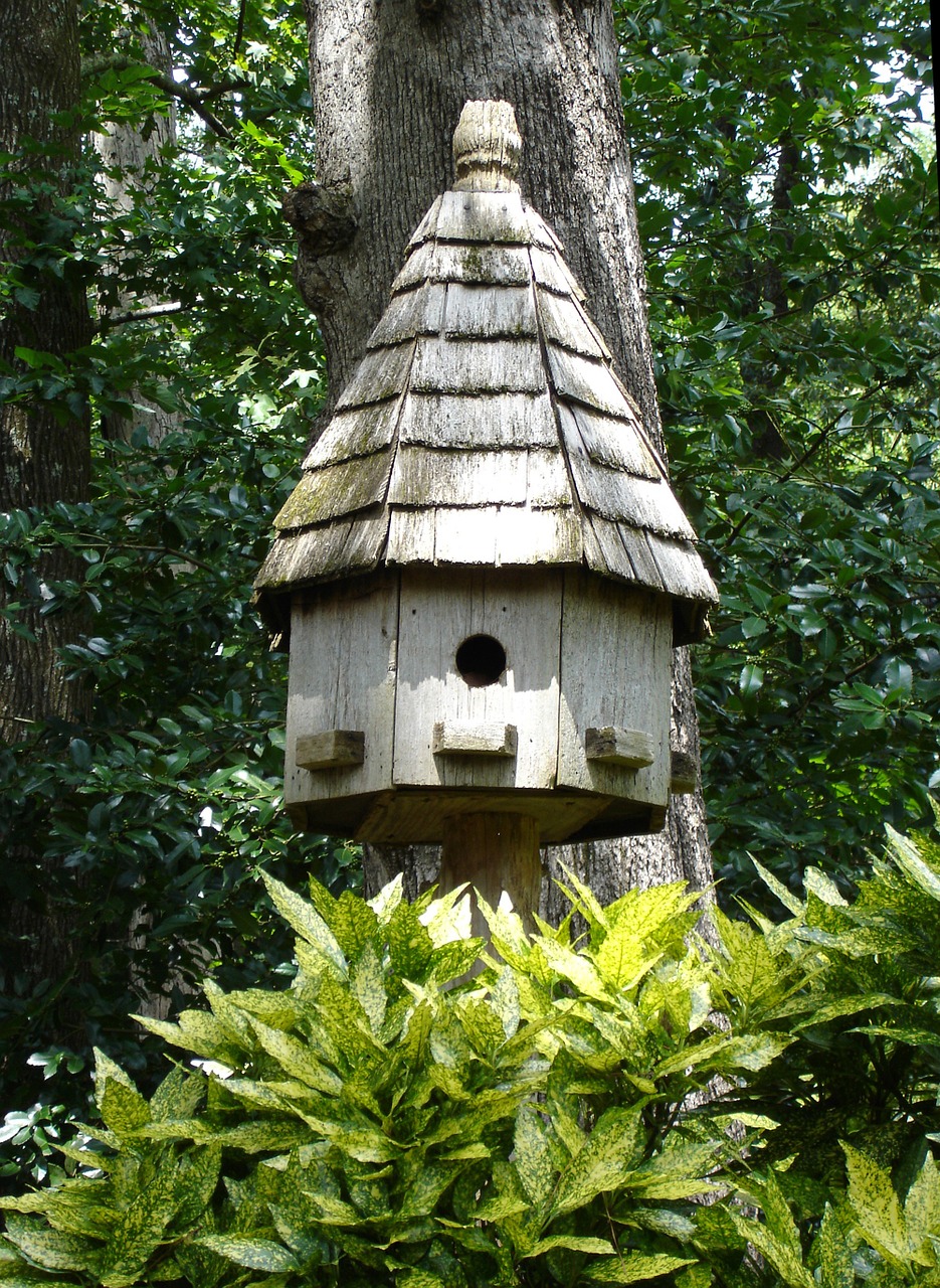 Birdhouse, Gamta, Apdaila, Nemokamos Nuotraukos,  Nemokama Licenzija