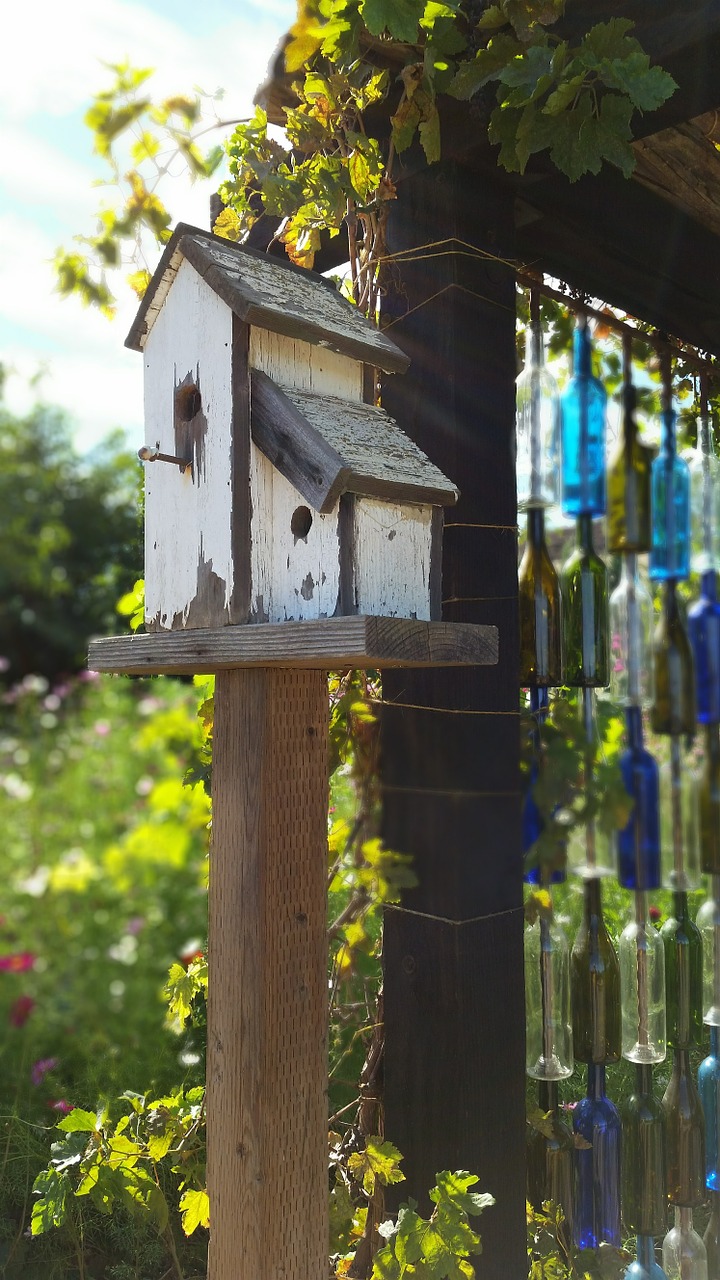 Birdhouse, Kaimiškas, Paukštis, Gamta, Medinis, Namas, Mediena, Senas, Medis, Lizdas