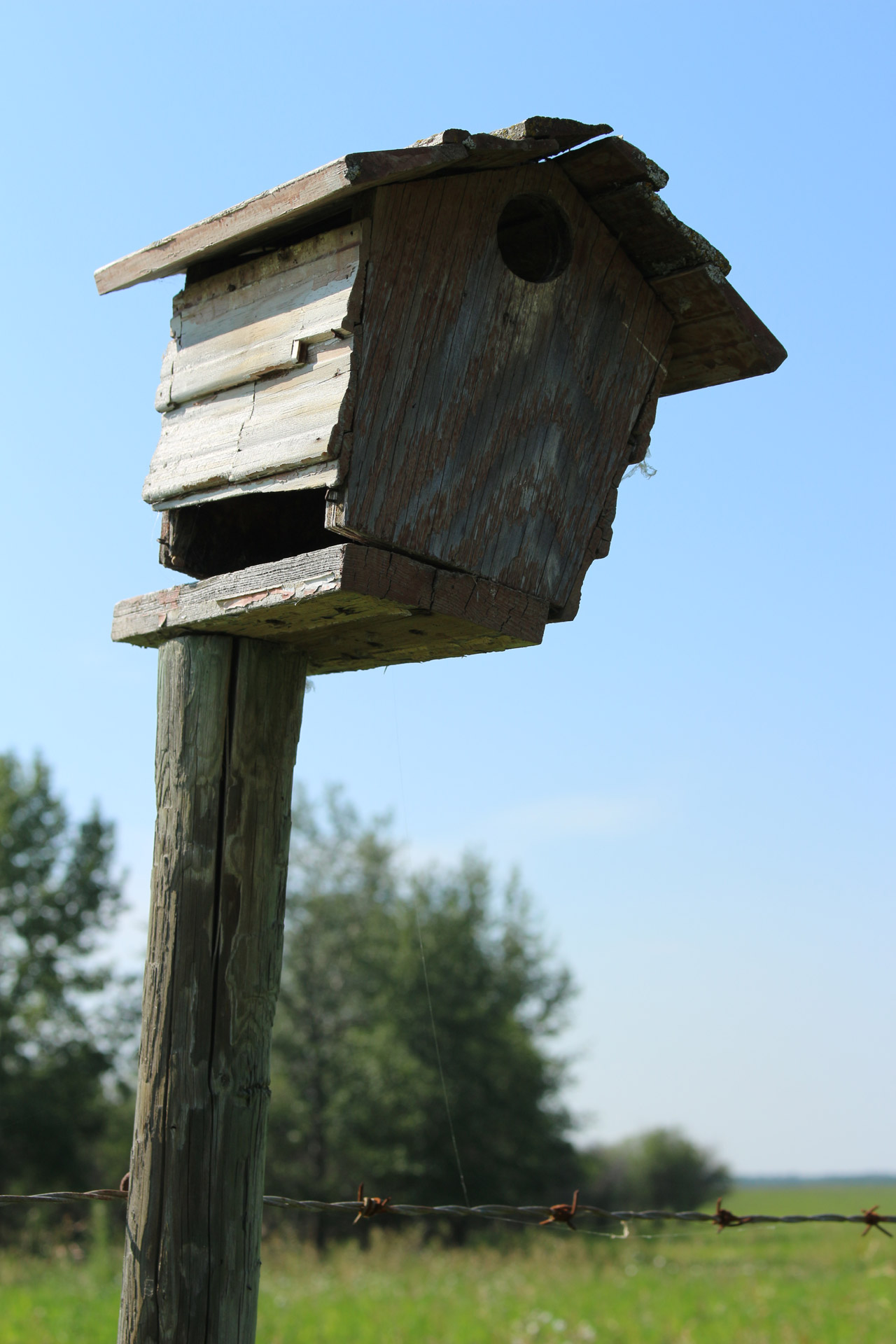 Birdhouse,  Ruda,  Pranešimas,  Spygliuotas,  Viela,  Birdhouse Rudas Po Spygliuotos Vielos, Nemokamos Nuotraukos,  Nemokama Licenzija