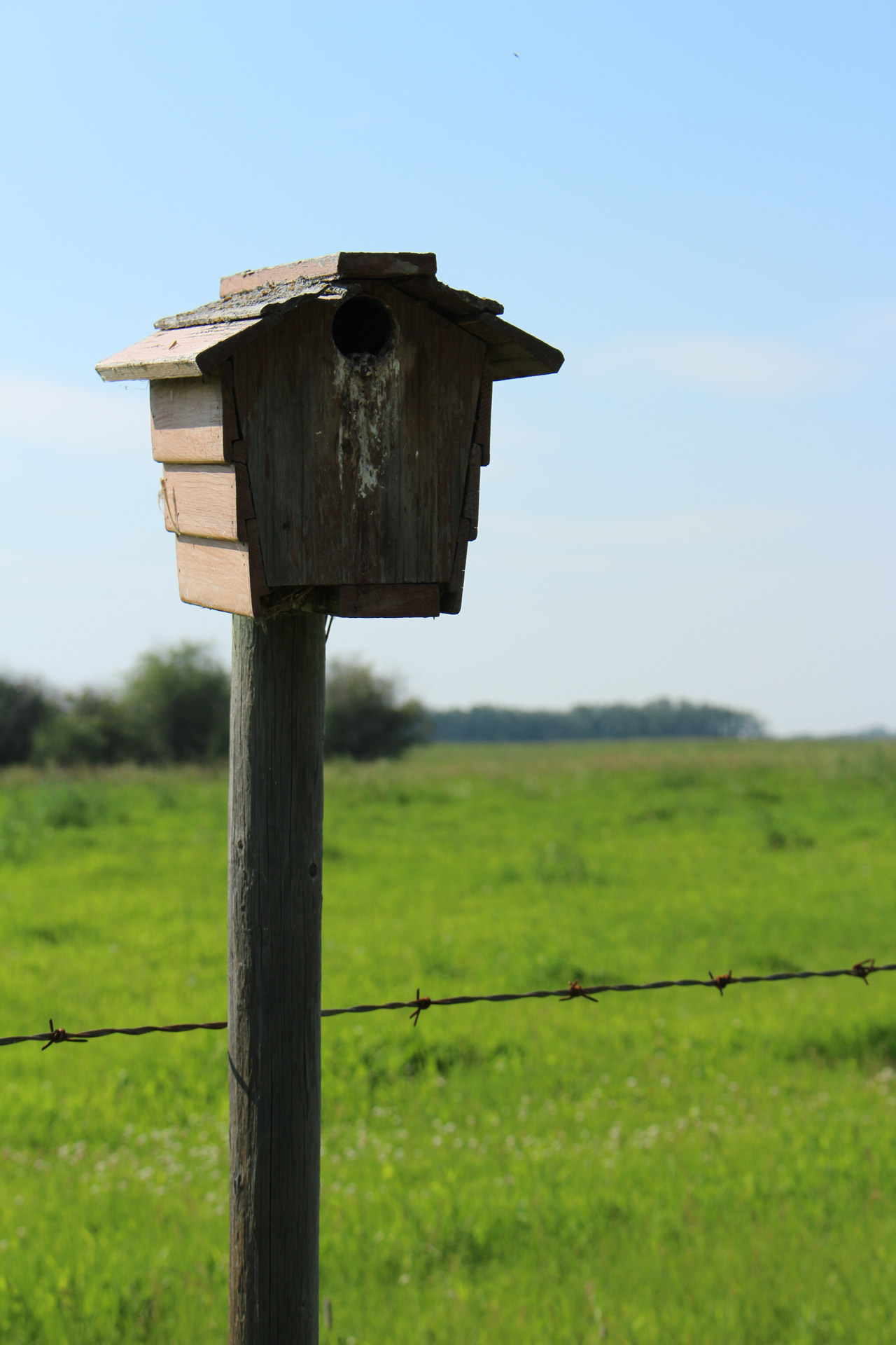 Birdhouse,  Ruda,  Pranešimas,  Spygliuotas,  Viela,  Birdhouse Rudas Po Spygliuotos Vielos, Nemokamos Nuotraukos,  Nemokama Licenzija