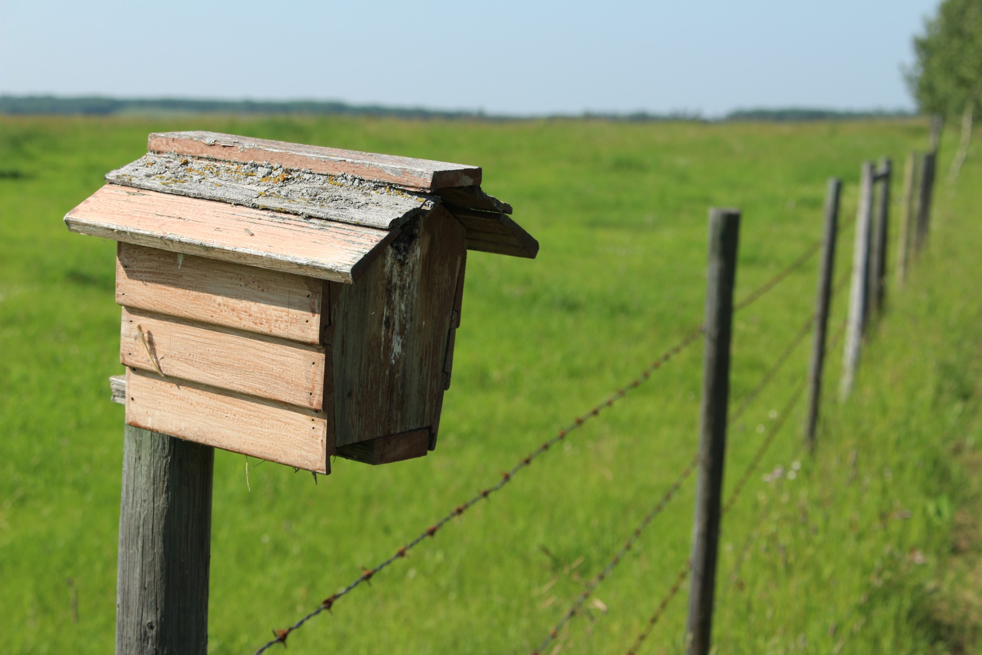 Birdhouse,  Ruda,  Pranešimas,  Spygliuotas,  Viela,  Birdhouse Rudas Po Spygliuotos Vielos, Nemokamos Nuotraukos,  Nemokama Licenzija