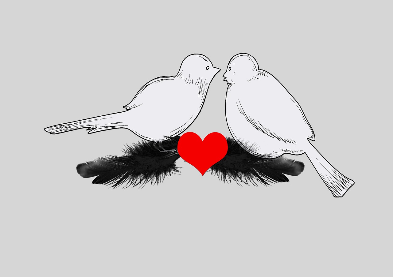 Paukščiai, Širdis, Plunksna, Paukštis, Atvirukas, Meilė, Jausmai, Pasveikinimas, Valentino Diena, Twitter