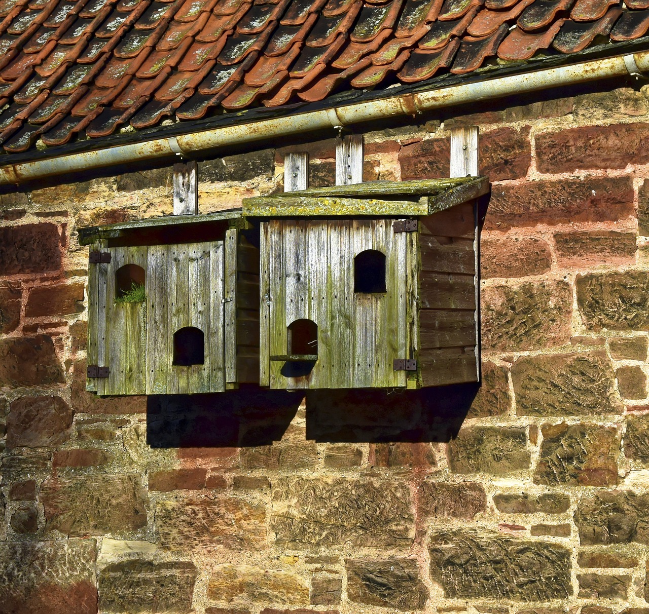 Paukščiai, Paukščių Dėžė, Birdhouse, Dėžė, Lizdas, Gamta, Mediena, Buveinė, Laukinė Gamta, Nemokamos Nuotraukos