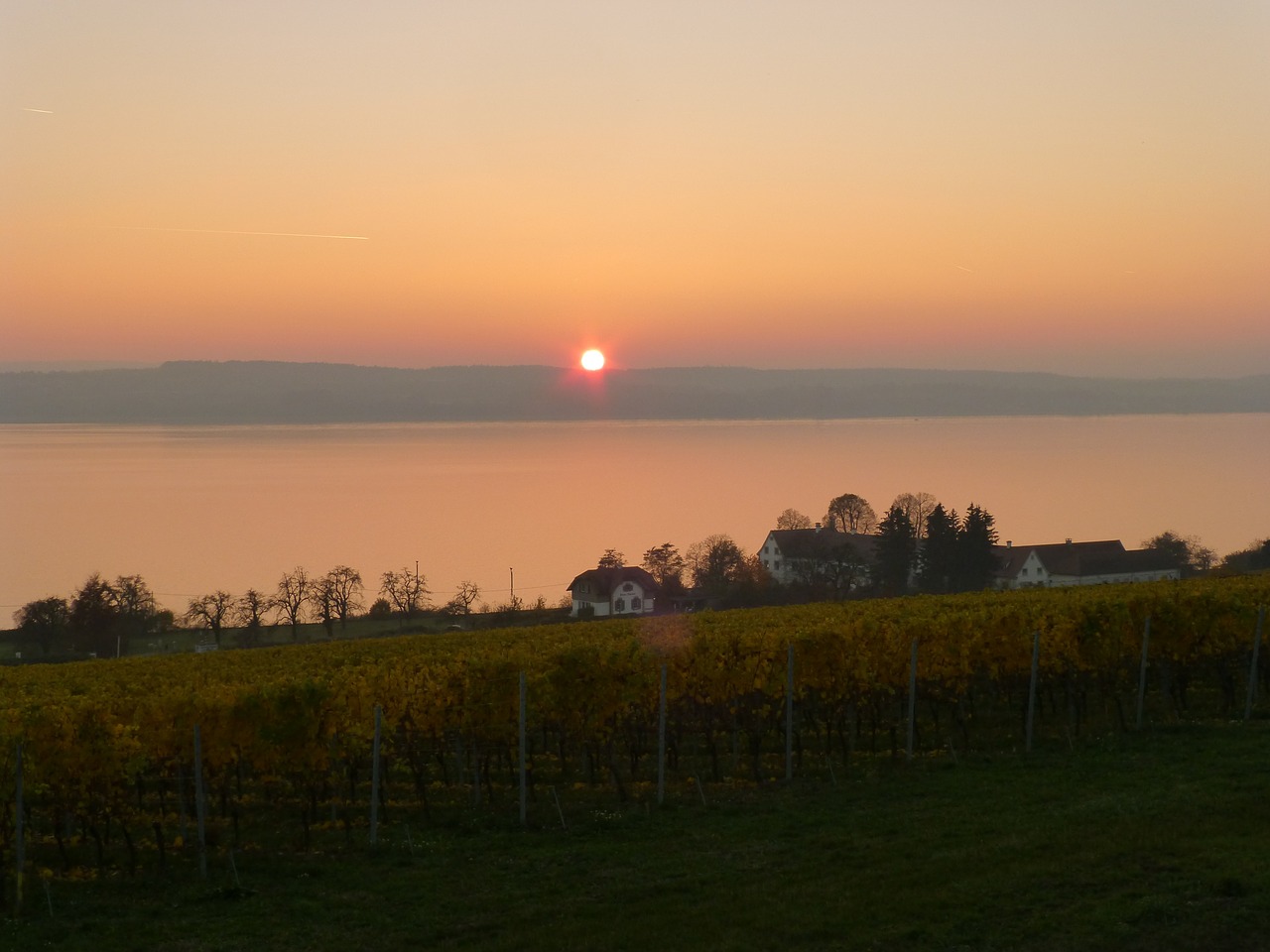 Birnau, Afterglow, Saulėlydis, Ežero Konstanta, Vynuogynai, Uhldingen Mühlhofen, Vynmedis, Abendstimmung, Romantika, Nuotaika