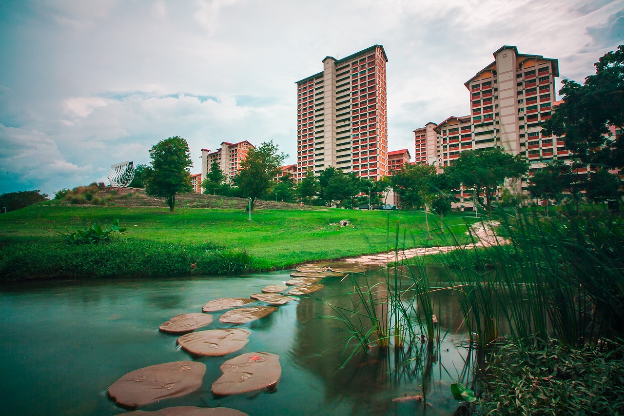 Bishan, Bishanpark, Vanduo, Tvenkinys, Singapūras, Gamta, Ežeras, Parkas, Sodas, Žalias