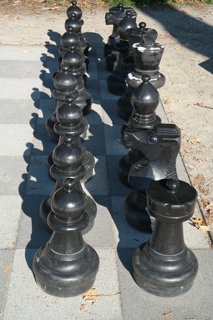 Juoda, Šachmatai, Šachmatų Lenta, Šachmatų Figūros, Šachmatų Žaidimas, Žaisti, Skaičiai, Lady, Karalius, Bėgikai