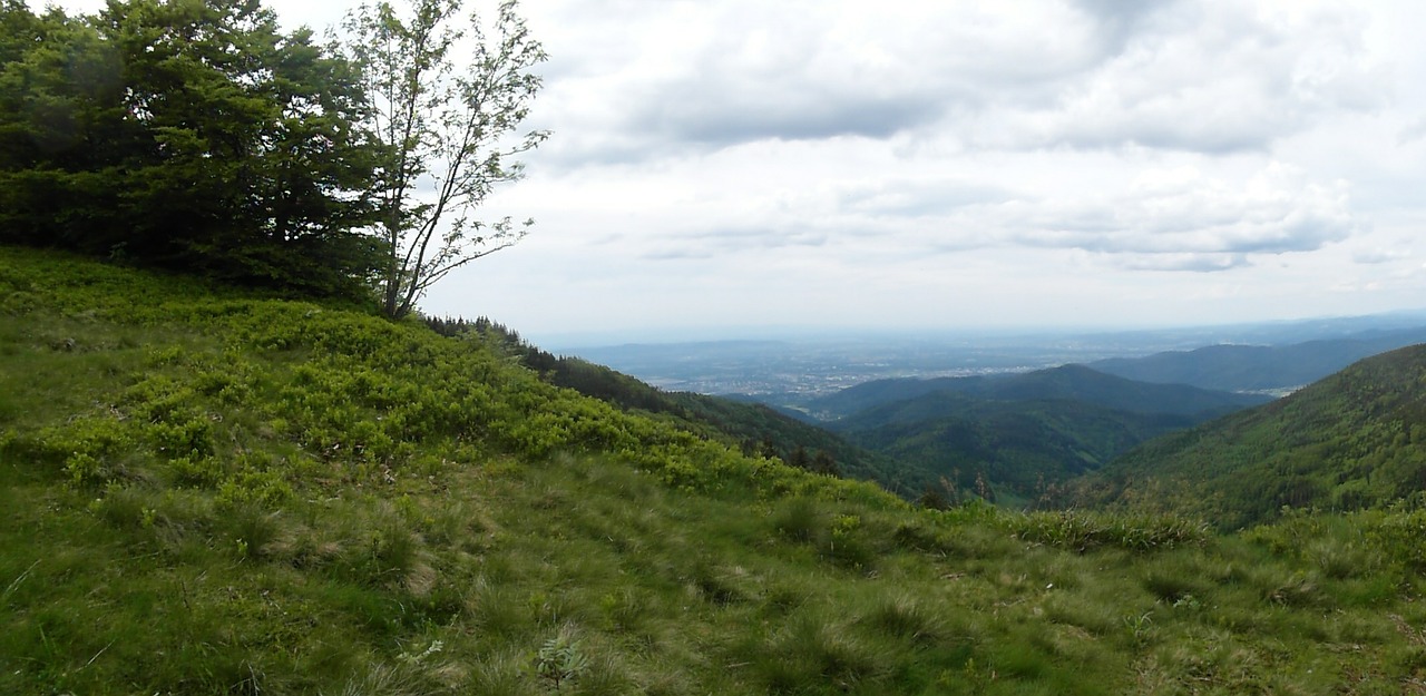 Juodasis Miškas, Kalnas, Reino Slėnis, Schauinsland, Vasara, Žygiai, Nemokamos Nuotraukos,  Nemokama Licenzija