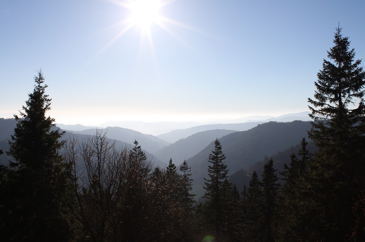 Juodasis Miškas, Panorama, Feldbergas, Slėnis, Nemokamos Nuotraukos,  Nemokama Licenzija