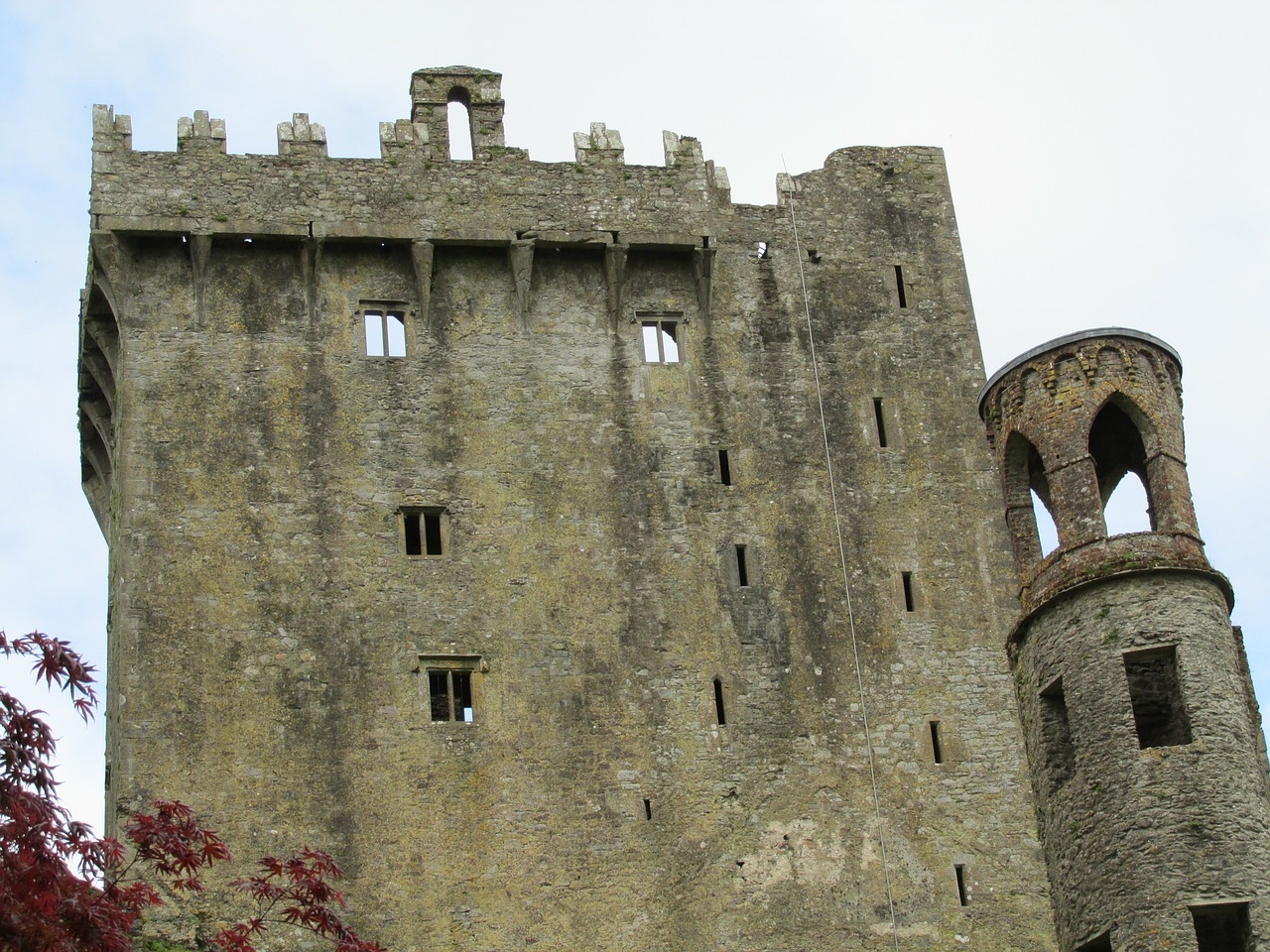 Blarney Pilis, Airija, Pilis, Sugadinti, Viduramžių, Viduramžiai, Nemokamos Nuotraukos,  Nemokama Licenzija