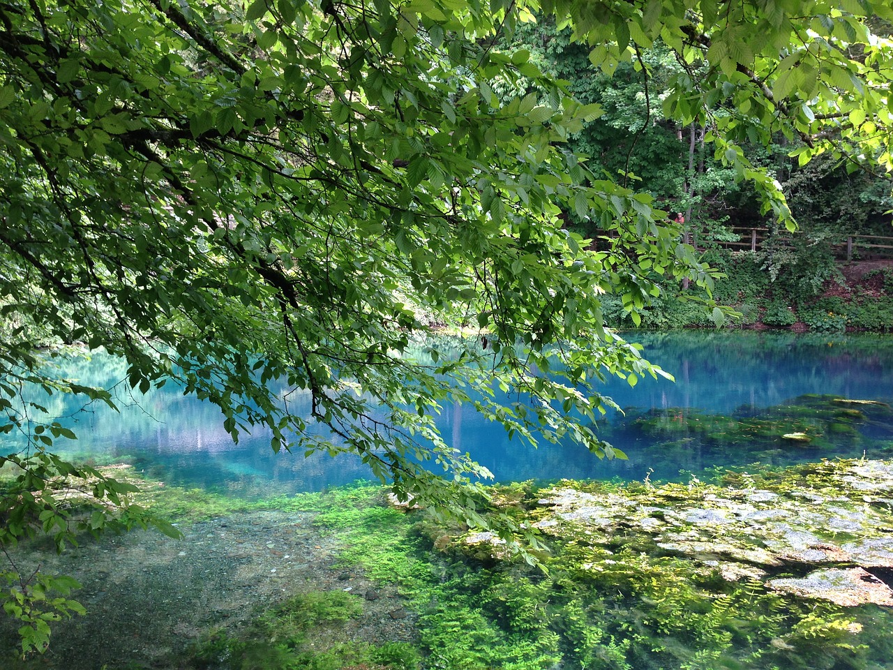 Blautopf, Blaubeuren, Vanduo, Šaltinis, Akmuo, Bažnyčia, Medžiai, Kilmė, Vandens Ratas, Schöne Lau