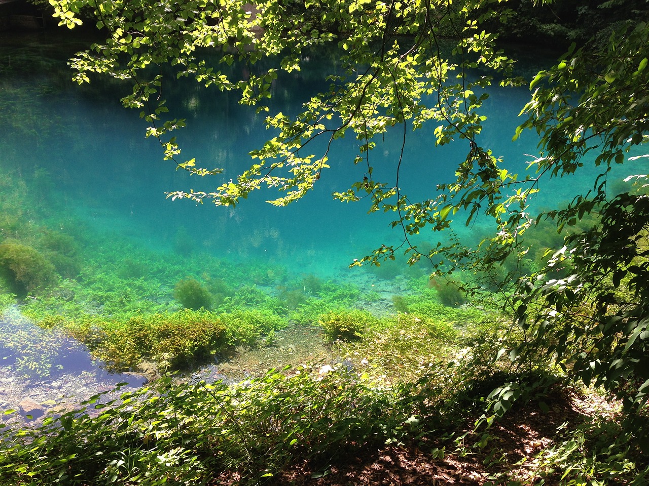 Blautopf, Blaubeuren, Šaltinis, Vanduo, Nemokamos Nuotraukos,  Nemokama Licenzija