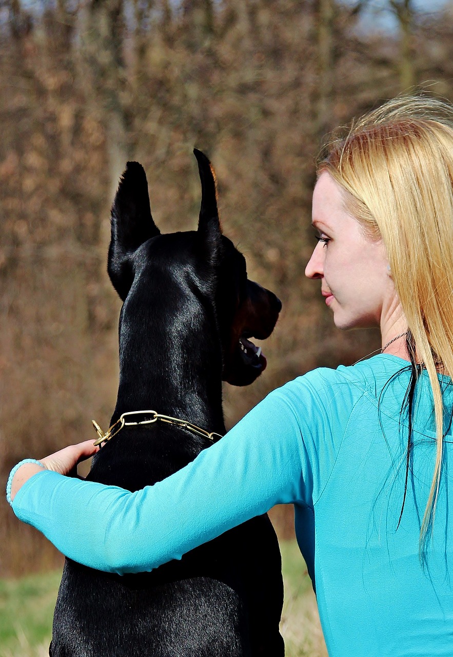 Blondinė Mergina, Šunys, Dobermanas, Apkabinti, Meilė, Nemokamos Nuotraukos,  Nemokama Licenzija