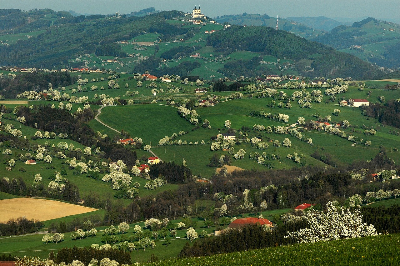 Žiedas, Mostviertel, Austria, Nemokamos Nuotraukos,  Nemokama Licenzija