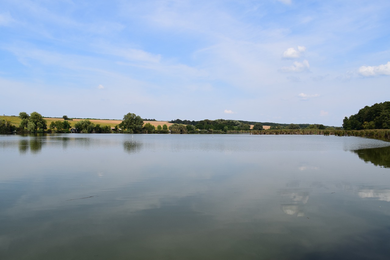 Ežeras, Mėlynas, Žalias, Gamta, Vanduo, Kraštovaizdis, Vandens Paviršius, Nendrė, Dangus, Vasara