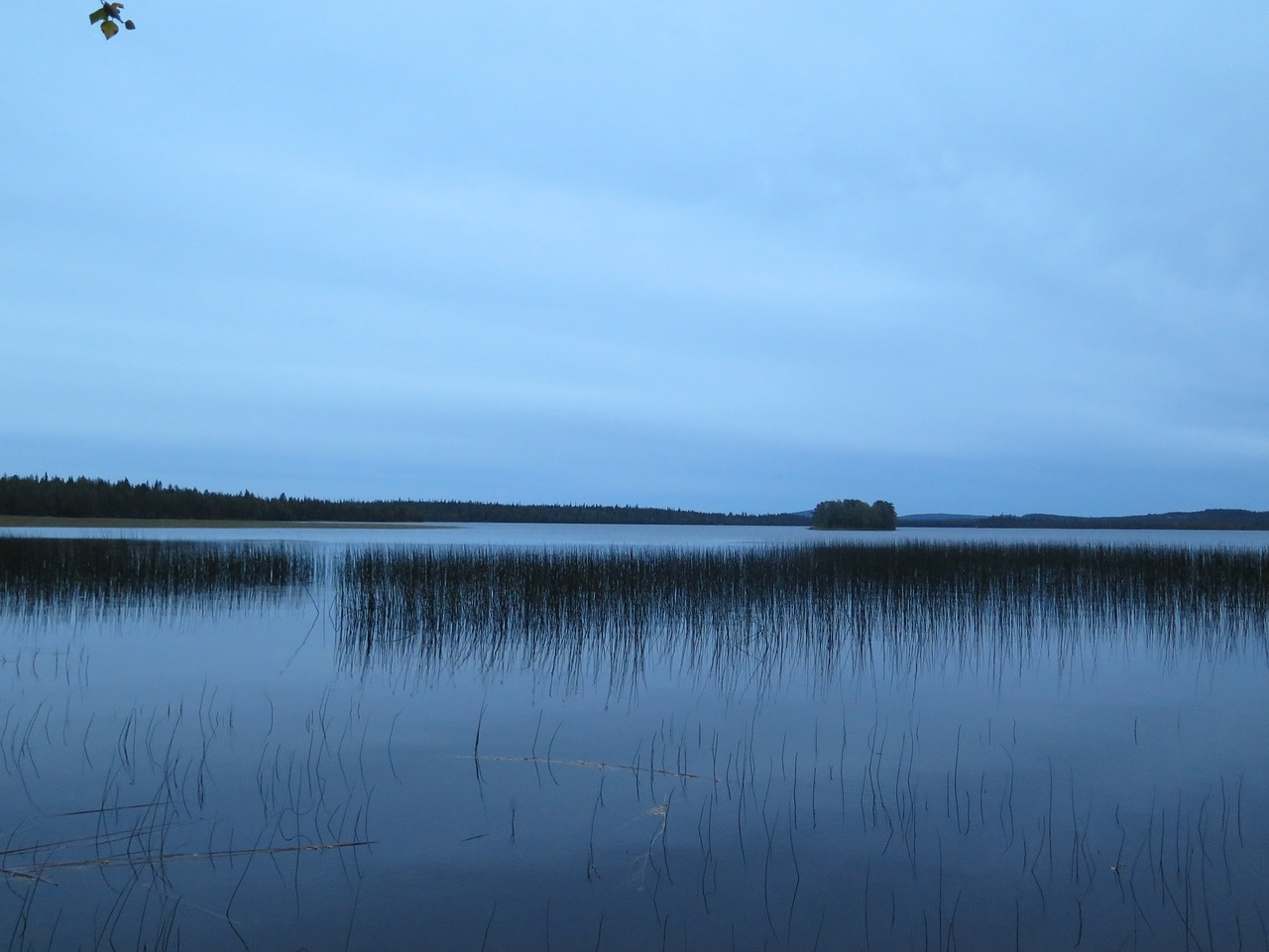 Mėlynas, Gamta, Ežeras, Nendrė, Tylus, Finland, Nemokamos Nuotraukos,  Nemokama Licenzija