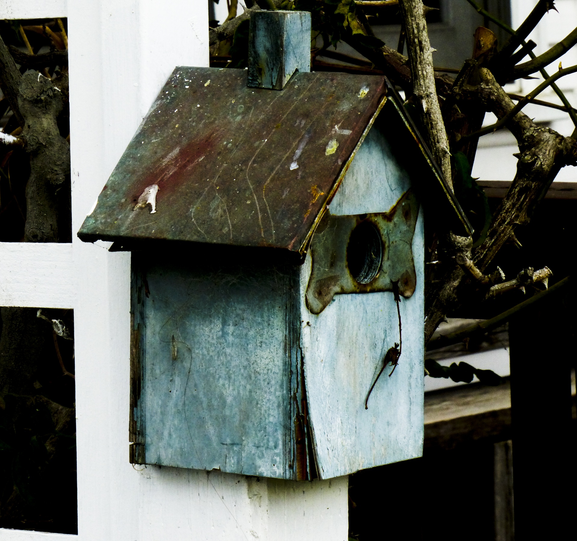 Birdhouse,  Mėlynas,  Medinis,  Dėvėti,  Metalas & Nbsp,  Stogas,  Iškraipytas,  Mėlyna Medinė Birdhouse, Nemokamos Nuotraukos,  Nemokama Licenzija