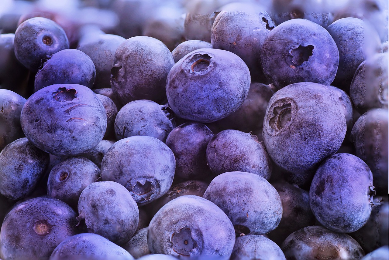 Mėlynės,  Makro,  Vaisių,  Maisto,  Šviežias,  Sveiki,  Organinė,  Skanus,  Vitaminai,  Mitybos