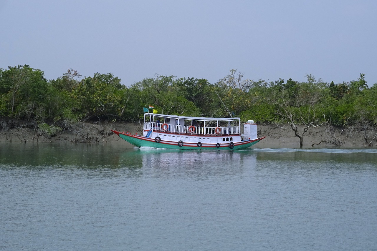 Valtis, Upė, Mangroviai, Sundarbans, Miškas, Ramsar Svetainė, Unesco, Pasaulinis Paveldas, Flora, Indija