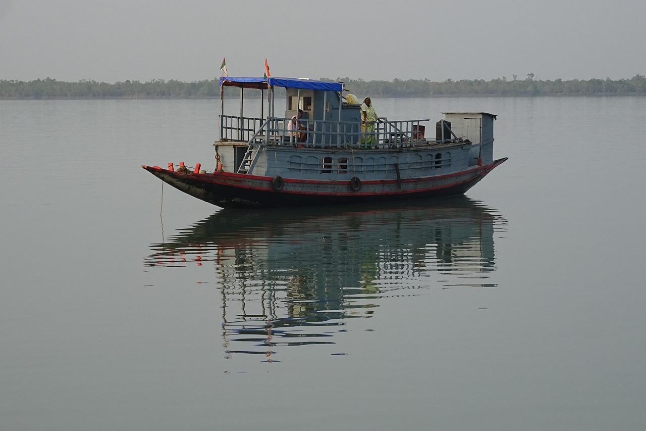 Valtis, Sundarbans, Miškas, Upė, Ramsar Svetainė, Unesco, Pasaulinis Paveldas, Flora, Indija, Nemokamos Nuotraukos