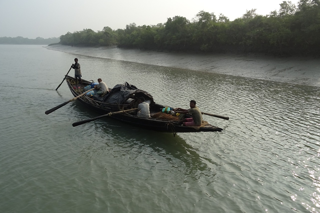Valtis, Mangroviai, Sundarbans, Miškas, Upė, Ramsar Svetainė, Unesco, Pasaulinis Paveldas, Flora, Indija