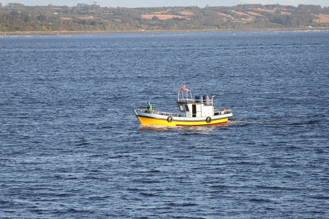 Valtis, Amatininkų Žvejyba, Pietų Čile, Nemokamos Nuotraukos,  Nemokama Licenzija