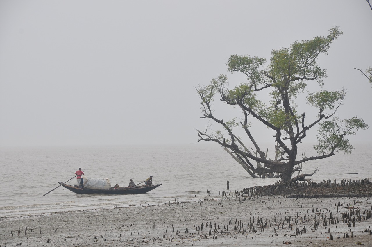Valtis, Jūra, Sundarban, Turizmas, Gamta, Bangladešas, Nemokamos Nuotraukos,  Nemokama Licenzija