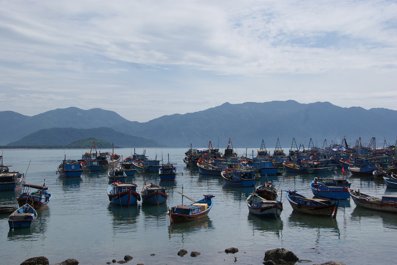 Valtis, Nha Trang, Vietnamas, Pakrantė, Ramus, Įlanka, Žvejyba, Nemokamos Nuotraukos,  Nemokama Licenzija