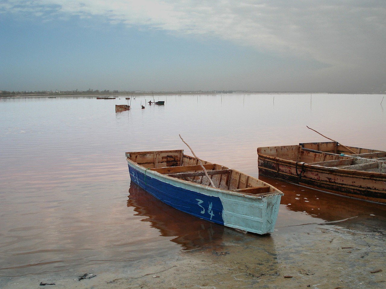 Valtis, Ežeras, Senegalas, Nemokamos Nuotraukos,  Nemokama Licenzija