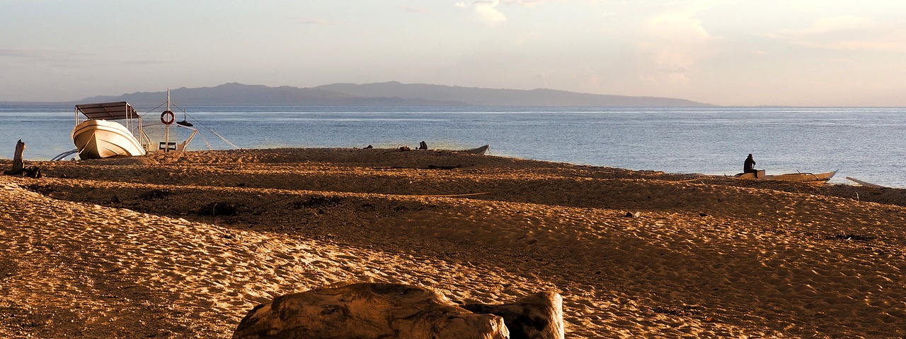 Valtis, Saulėlydžiai, Smėlis, Apmąstymai, Driftwood, Filipinai, Boholas, Atramos, Sala, Peizažas