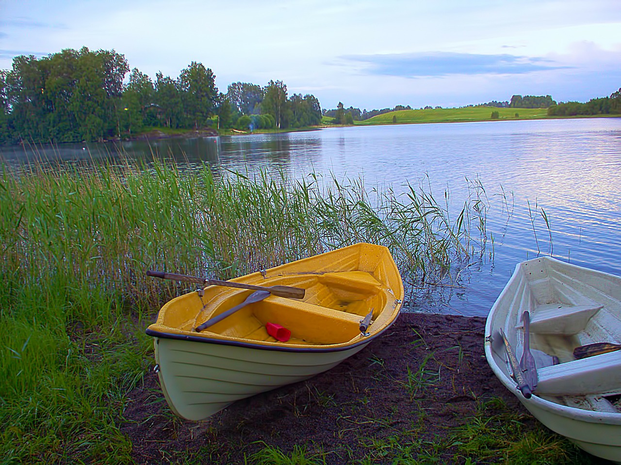 Valtys, Valtis, Irklavimo Valtis, Ežeras, Vasara, Suomių, Papludimys, Nendrė, Vartiala, Vandens Žaidimas