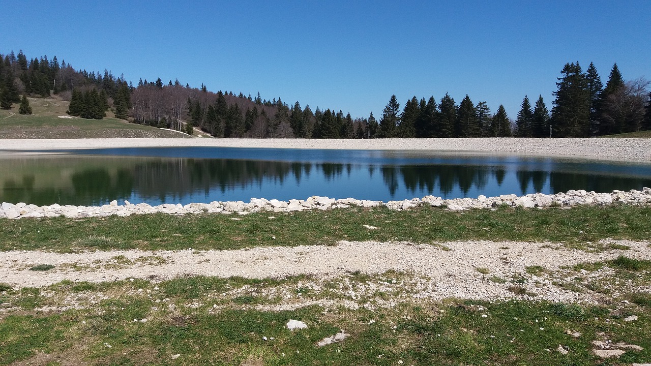 Vandens Telkinys, Ežeras, Niekas, Gamta, Medis, Nemokamos Nuotraukos,  Nemokama Licenzija