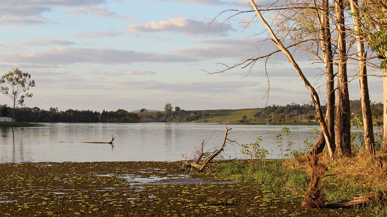 Vandens Telkinys,  Pobūdį,  Medis,  Ežeras,  Rio,  Lauke,  Vejos,  Miškai,  Kraštovaizdis,  Parkas