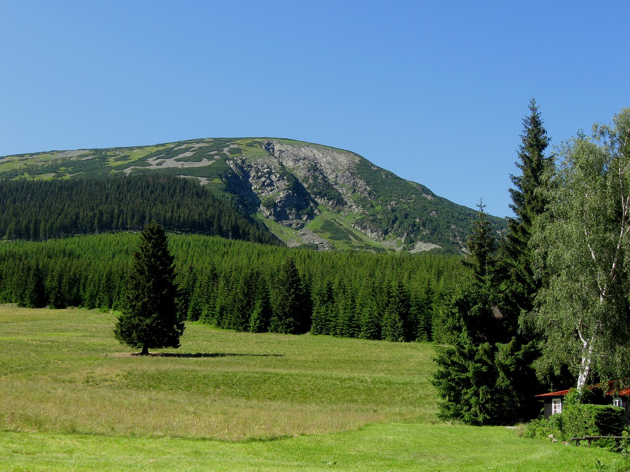 Kalnas, Miškas, Pieva, Vienatvė, Kraštovaizdis, Kalnai, Milžiniški Kalnai, Nemokamos Nuotraukos,  Nemokama Licenzija