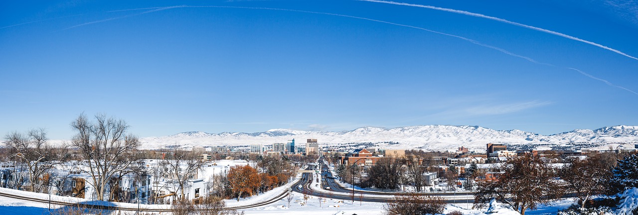 Boise,  Idaho,  Panorama,  Miestas,  Žiemos,  Sniegas,  Ledas,  Dangus,  Mėlyna,  Medžiai