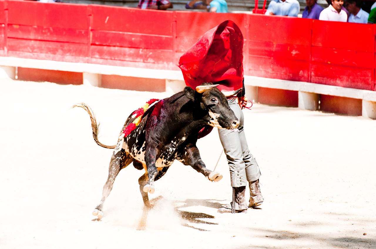 Bolsin, Kareivis, Bulius, Arena, Toreador, Feria, Beaucaire, Nemokamos Nuotraukos,  Nemokama Licenzija