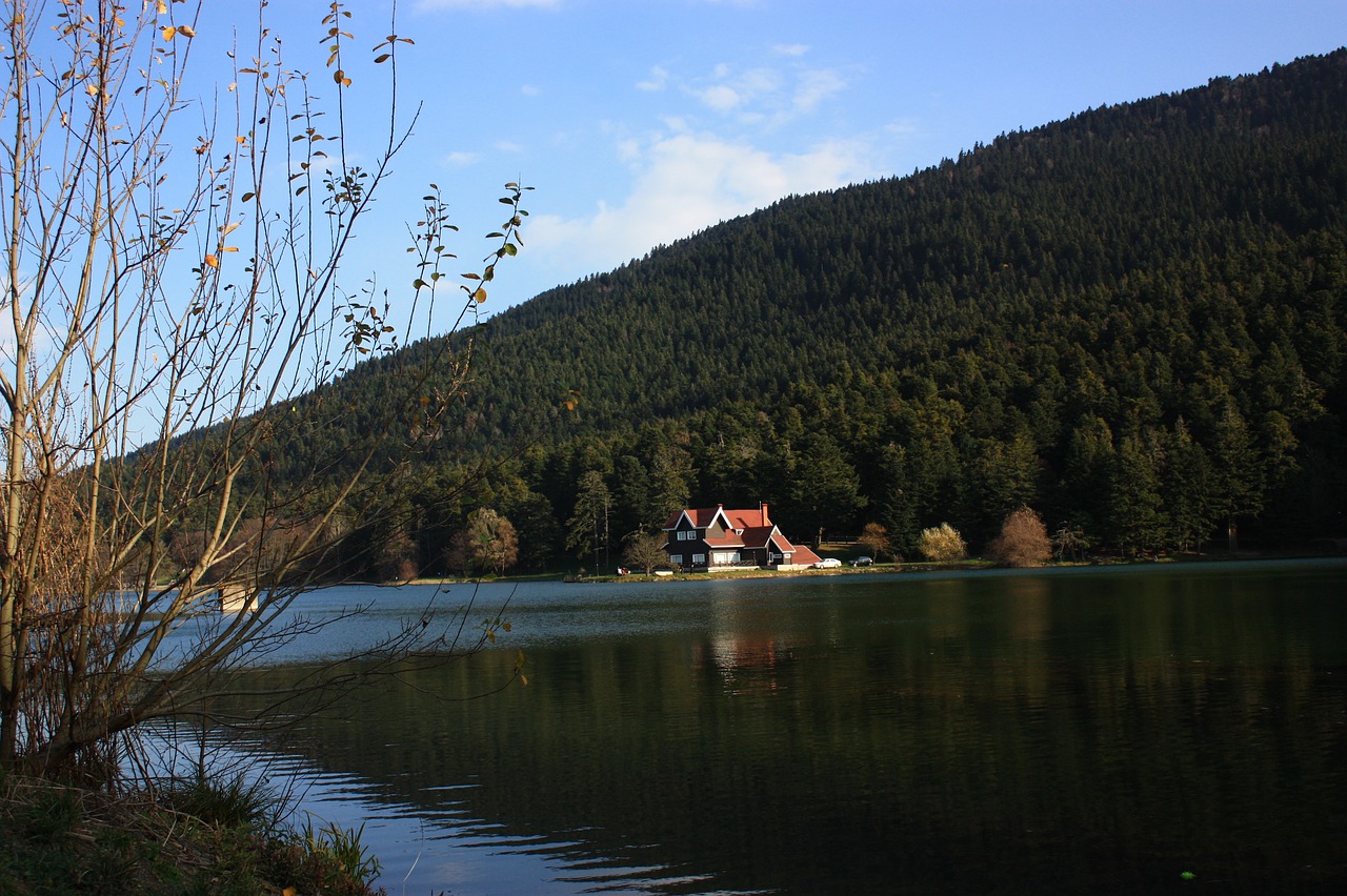 Bolu, Tvenkinys, Turkija, Miškas, Ežero Namas, Kraštovaizdis, Gamta, Vanduo, Ežeras, Nemokamos Nuotraukos