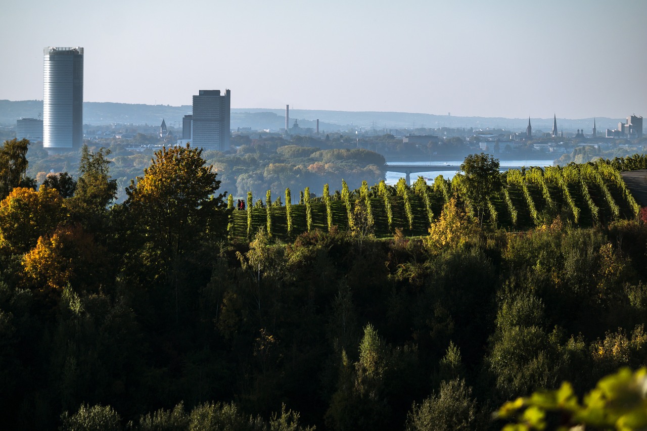 Bonas, Panorama, Dangoraižiai, Bonn Bokštas, Ilgas Eugenas, Vynuogynas, Oberdollendorf, Vaizdas, Regėjimas, Toli