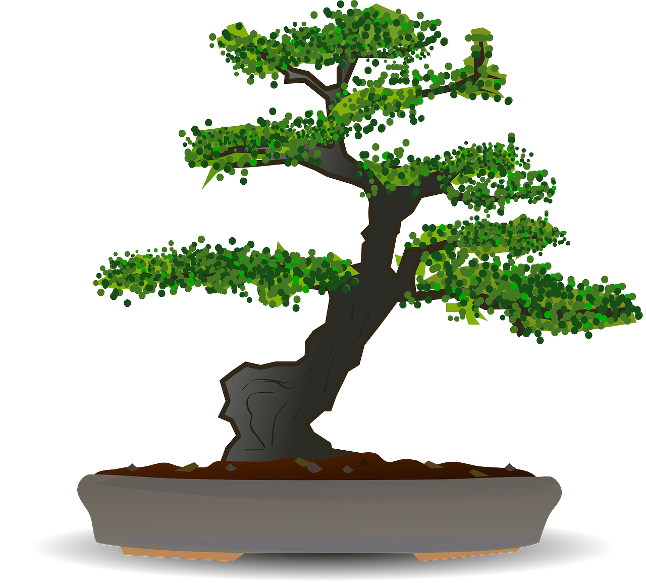 Bonsai, Medis, Nykštukas, Sodas, Japonija, Japanese, Augalas, Mažas, Nemokama Vektorinė Grafika, Nemokamos Nuotraukos