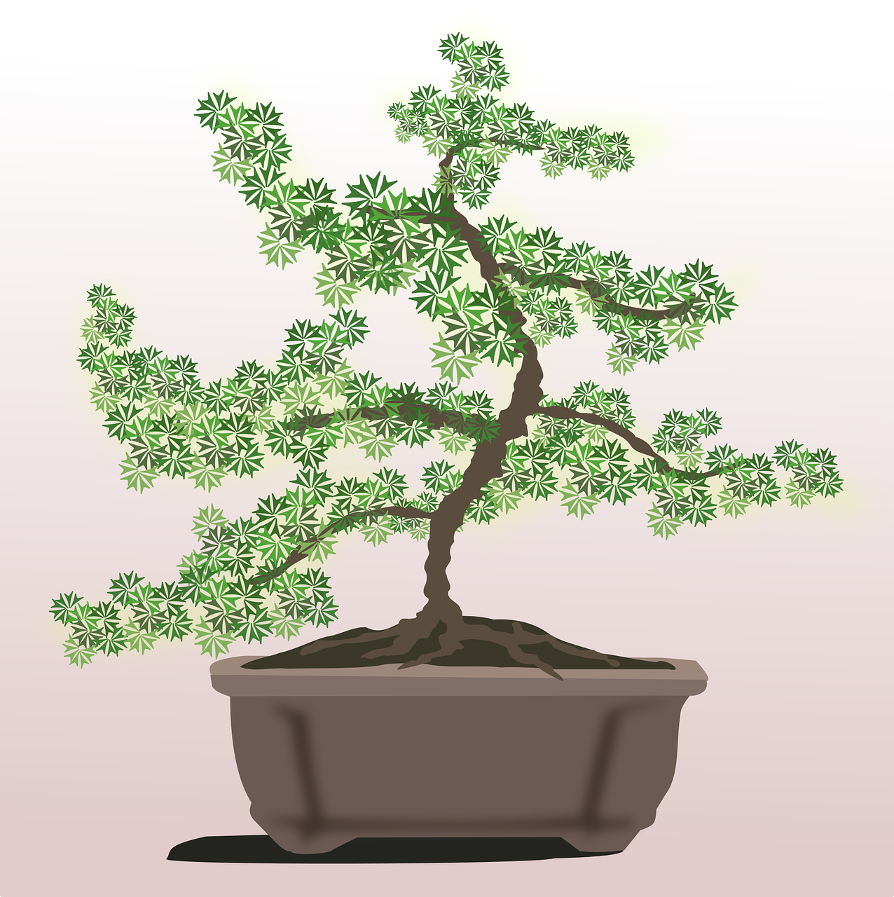 Bonsai, Iliustracijos, Flora, Gamta, Augalas, Medis, Nemokama Vektorinė Grafika, Nemokamos Nuotraukos,  Nemokama Licenzija