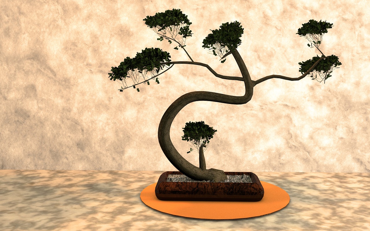 Bonsai, Augalas, Harmonija, Gamta, Medis, Mažas, Pasodintas Augalas, Japonija, Bäumchen, Mažas